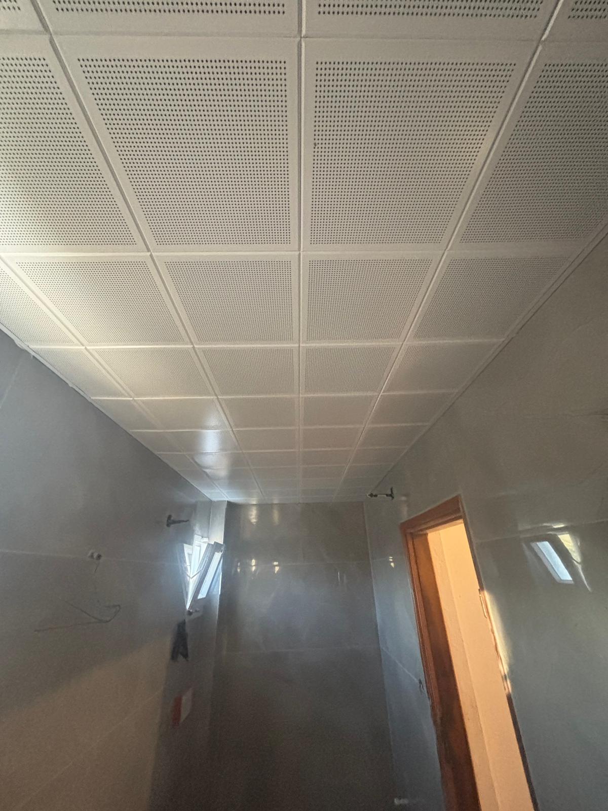 Banyo tavanı
